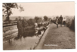 Vintage Postcard 1900's Salisbury Unused. See Description AA - Salisbury
