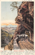 Schweiz Gebirgspost ATTELAGE - DILIGENCE - Cachet 1904 Poste Fédérale - Andere & Zonder Classificatie