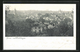 AK Waiblingen, Blick Auf Die Dächer Von Waiblingen - Waiblingen