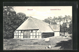 AK Husum, Ostenfelder-Haus - Husum