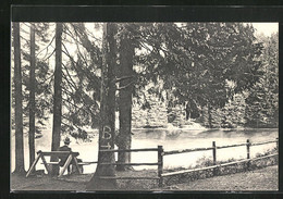 AK Braunlage (Oberharz), Mann Auf Einer Bank Am Neuen Teich - Oberharz