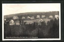 AK Masserberg, Villenviertel Des Höhenluftkurortes, 830 M ü.M. - Masserberg