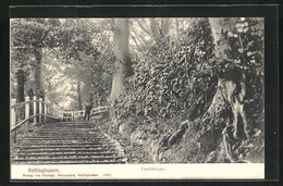 AK Kellinghusen, Liethtreppe - Kellinghusen