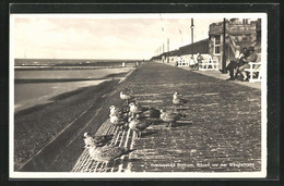 AK Borkum / Nordsee, Möven Vor Der Wandelhalle - Borkum