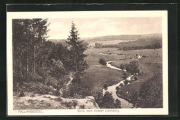 AK Fallingbostel, Blick Vom Klinter Liethberg - Fallingbostel