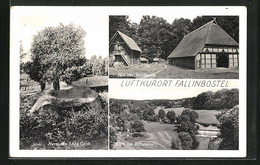 AK Fallingbostel, Hermann Löns Grab, Hof Der Heidmark, Böhmetal - Fallingbostel