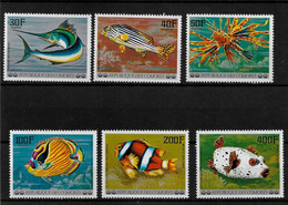 COMOROS - 1977 Airmail - Fish SET MNH (STB10-27) - Comores (1975-...)