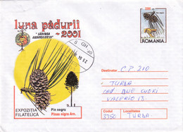 A9454- PHYLATELIC EXHIBITION FOREST MONTH 2001- PINUS NIGRA, DEVA 2001 ROMANIA ROMANIAN POSTAGE STAMP COVER STATIONERY - Arbres