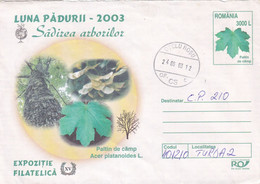A9455- PHYLATELIC EXHIBITION FOREST MONTH 2003- ACER PLATANOIDES, ROMANIA ROMANIAN POSTAGE STAMP COVER STATIONERY - Arbres