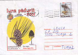 A9456- PHYLATELIC EXHIBITION FOREST MONTH 2001 PINUS NIGRA ARN., CLUJ ROMANIA ROMANIAN POSTAGE STAMP COVER STATIONERY - Trees