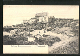 AK Borkum, Gasthaus Vögelcolonie - Borkum