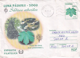 A9463- PHYLATELIC EXHIBITION FOREST MONTH 2003,BACAU ROMANIA 2003 ROMANIAN POSTAGE STAMP COVER STATIONERY - Exposiciones Filatélicas