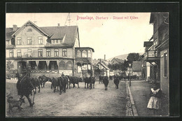 AK Braunlage / Oberharz, Strassenpartie Mit Siegling`s Hôtel Und Kühen - Oberharz