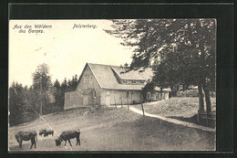 AK Clausthal-Zellerfeld / Harz, Polsterberg Mit Rindern Am Wald - Clausthal-Zellerfeld