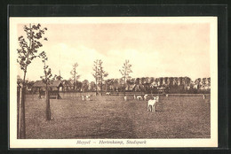 AK Meppel, Hertenkamp, Stadspark - Meppel