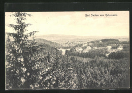 AK Bad Sachsa /Harz, Ortsansicht Vom Katzenstein Gesehen - Bad Sachsa