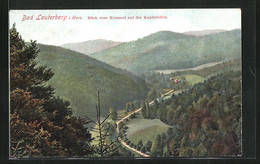 AK Bad Lauterberg / Harz, Blick Vom Kummel Auf Die Kupferhütte - Bad Lauterberg