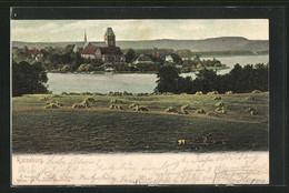 AK Ratzeburg I.L., Kühe Auf Der Weide, Blick Zur Kirche In Der Stadt - Ratzeburg