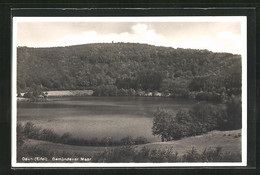 AK Daun In Der Eifel, Partie An Der Gemündener Maar - Daun