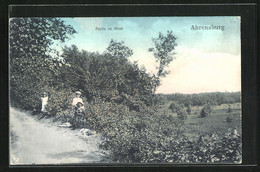 AK Ahrensburg, Partie Im Moor - Ahrensburg