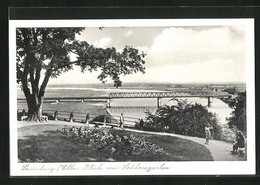 AK Lauenburg / Elbe, Blick Vom Schlossgarten - Lauenburg