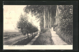 AK Scharbeutz /Ostsee, Blick Auf Einen Wanderweg Mit Spaziergänger - Scharbeutz