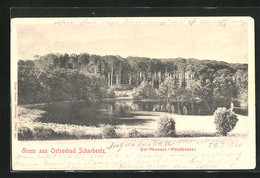 AK Scharbeutz, Blick Auf Den Wennsee (Wendensee) - Scharbeutz