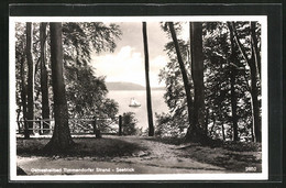 AK Timmendorfer Strand, Seeblick Durch Den Wald Hindurch - Timmendorfer Strand