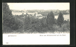 AK Ratzeburg, Blick Vom Militärkirchhof Auf Die Stadt - Ratzeburg