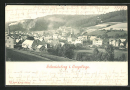 AK Schmiedeberg / Ergeb., Totalansicht - Schmiedeberg (Erzgeb.)