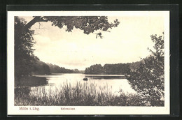 AK Mölln I. L., Blick Auf Den Schmalsee Mit Ruderboot - Mölln