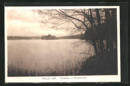 AK Mölln I. L., Drüsensee Mit Bismarck-Insel - Moelln