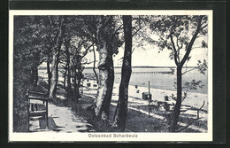 AK Scharbeutz, Blick Durch Uferbäume Hindurch In Richtung Strand - Scharbeutz