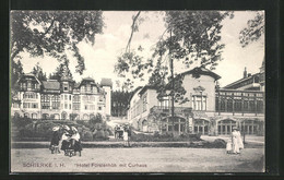 AK Schierke I. H., Hotel Fürstenhöh Mit Curhaus - Schierke