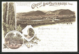 Vorläufer-Lithographie Bad Lauterberg I. Harz, 1893, Quelle, Ritscher-Denkmal, Totalansicht - Bad Lauterberg