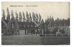 Merxplas (Colonie) - Koer Der Boerderij - Merksplas