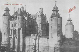 VOSSELAAR. LE CHATEAU DE VOSSELAER - Vosselaar