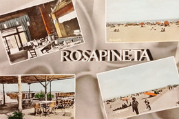 Cartolina - Saluti Da Rosapineta - Vedute Diverse - 1965 - Rovigo