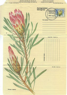 [A5] Aerogramme 1991 RSA Pretoria - Protea Repens - Covers & Documents