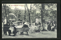 AK Bad Nenndorf, Sommerleben Im Kurpark - Bad Nenndorf