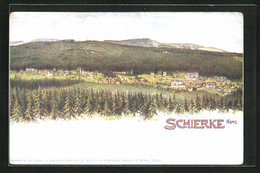 AK Schierke /Harz, Totalansicht - Schierke