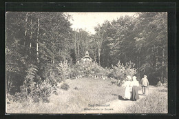 AK Bad Nenndorf, Wilhelmshöhe Im Kurpark Mit Spaziergängern - Bad Nenndorf