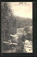 AK Schierke / Harz, Partie An Der Bode - Schierke