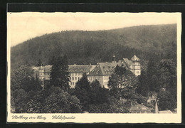 AK Stolberg / Harz, Partie Am Schloss - Stolberg (Harz)