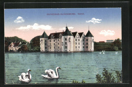 AK Glücksburg /Ostsee, Schloss, Schwäne - Glücksburg