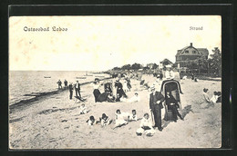 AK Laboe, Badegäste Am Strand - Laboe