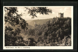 AK Manderscheid, Blick Zur Ober- Und Niederburg - Manderscheid