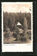 AK Braunlage Im Oberharz, Blick Zur Verlobungswiese - Oberharz