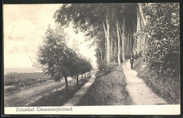 AK Ostseebad Timmendorferstrand, Weg In Den Wald - Timmendorfer Strand