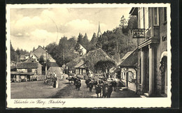 AK Schierke Im Harz, Kirchberg Mit Kuhherde - Schierke